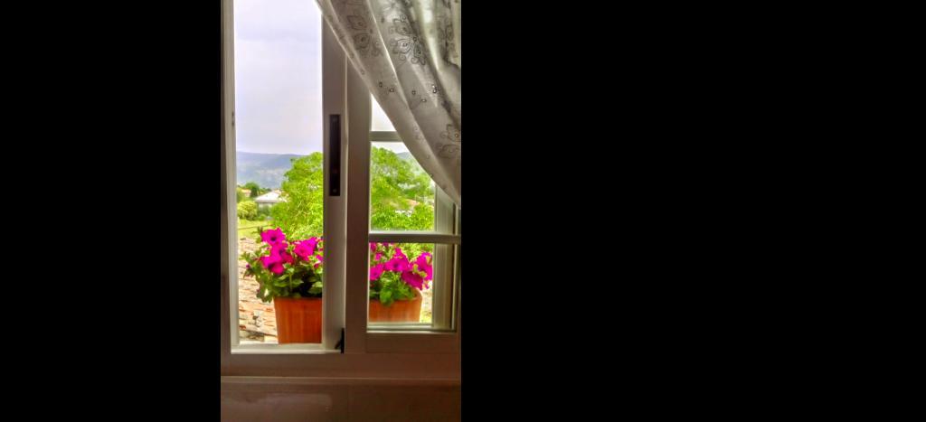 卡萨托加尔度假屋 帕拉达德西尔 客房 照片